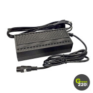GREEN220.com » Charger for Hiley Maxspeed X8 scooter