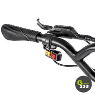 GREEN220.com » Hiley Tiger 10 Pro electric scooter