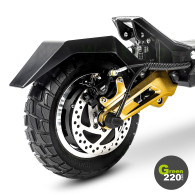 GREEN220.com » Hiley Tiger 10 Pro electric scooter