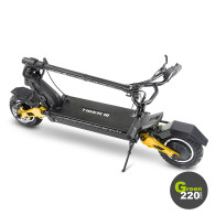 GREEN220.com » Hiley Tiger 10 Pro electric scooter