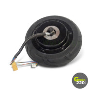 GREEN220.com » 250W motor for Wiizzee WS1 scooter