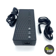 Cargador de 67,2V - Blade X Dual / Pro / GT