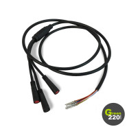 GREEN220.com » Complete connectic for Hiley Tiger 10 scooter