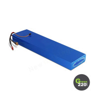 48V Battery - WS5 Max