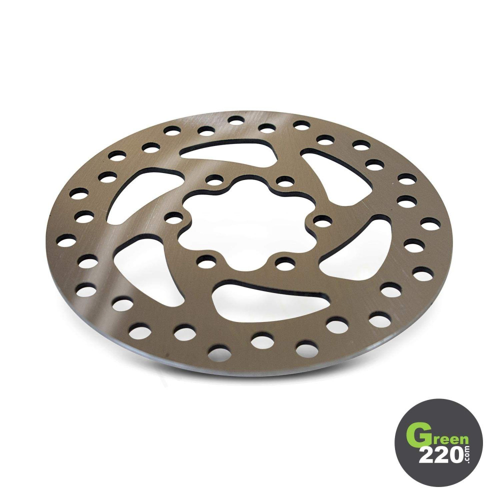 Disco de freno trasero - WS5