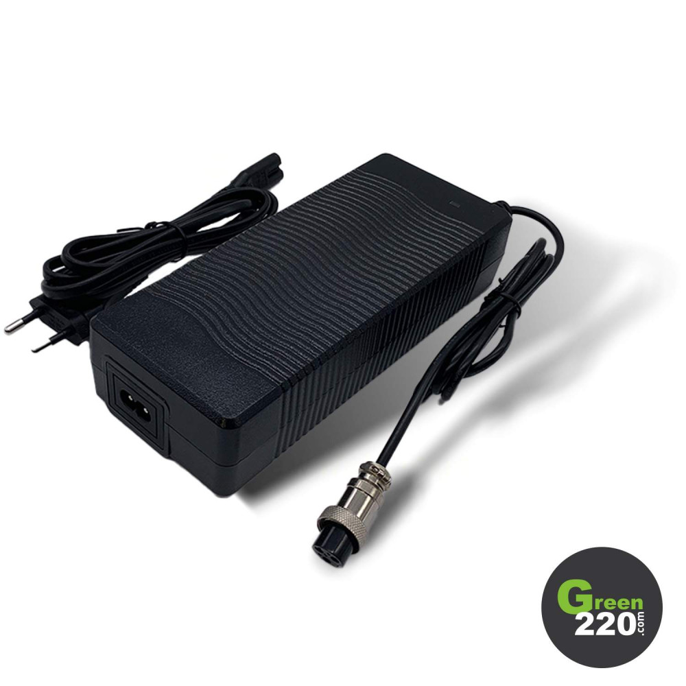 GREEN220.com » 48V charger for Wiizzee WS11 scooter