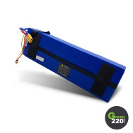 GREEN220.com » Battery for Wiizzee WS11 scooter
