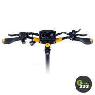 VSETT 10 Plus Pro l Green220.de