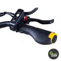 VSETT 10 Plus Pro l Green220.de