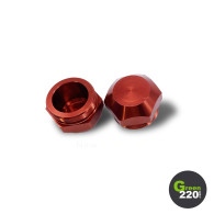 GREEN220.de » Netzladegerät für einrad Inmotion V11