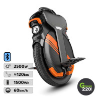 Gyroroue Inmotion V11Y l Green220.fr