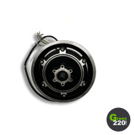 GREEN220.de » Motor 500 W für Scooter Wiizzee WS5 Max