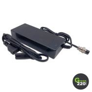 GREEN220.com » 60V charger for VSett 10+ scooter