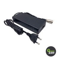 GREEN220.de » 60V Netzladegerät für Scooter VSett 11+
