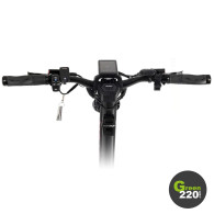 Teverun Fighter Supreme 7260R Elektroroller / Green220.de