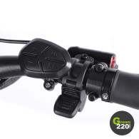 Teverun Fighter Supreme 7260R electric Scooter / Green220.com