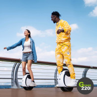 Inmotion E20 Einrad l Green220.de
