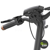 Kingsong KS-N14 Elektrischer Roller l Green220.de