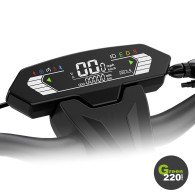 Kingsong KS-N14 Elektrischer Roller l Green220.de