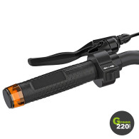 Kingsong KS-N14 Elektrischer Roller l Green220.de