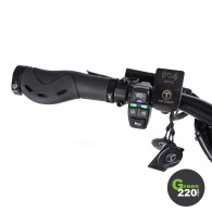 Teverun Fighter Supreme 7260R Elektroroller / Green220.de