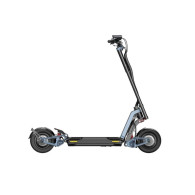Inmotion RS Elektrischer Scooter l Green220.de