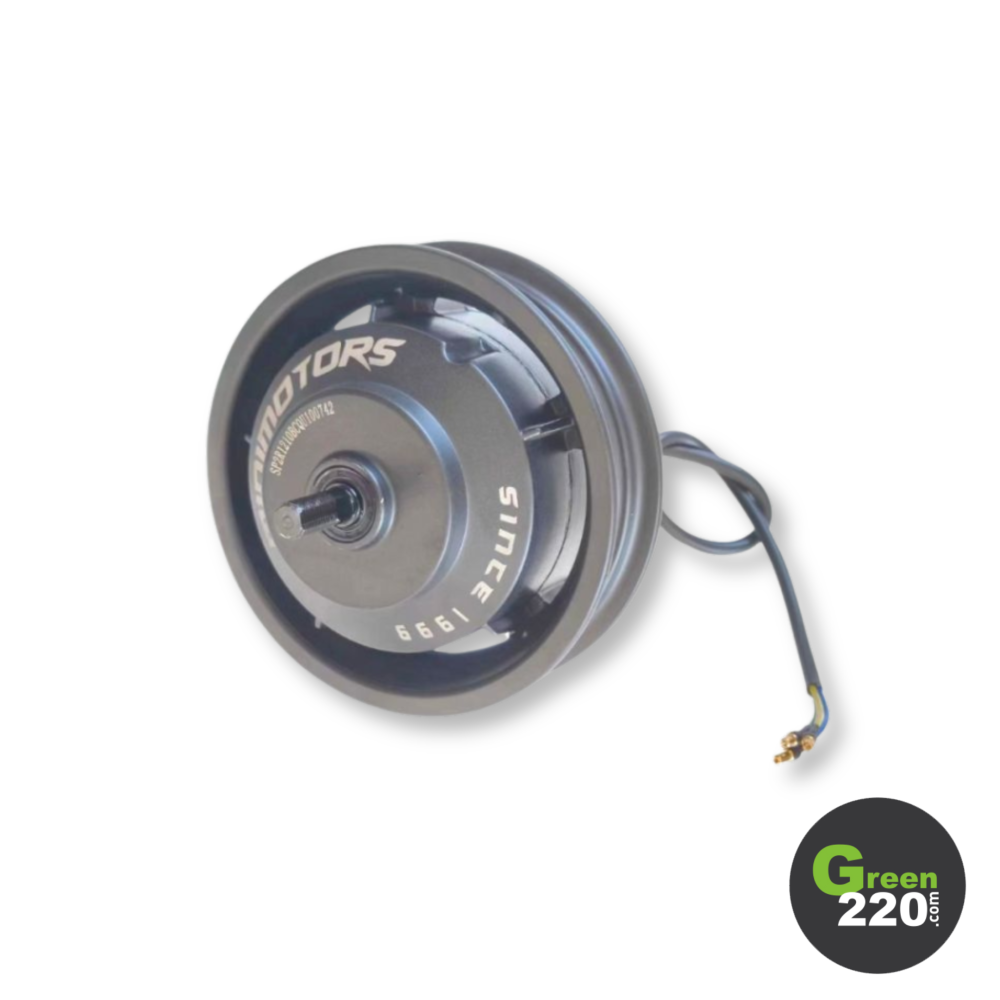 Heckmotor - Dualtron Forever