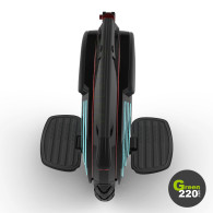 Inmotion V10F Elektrisches Einräd l Green220.de