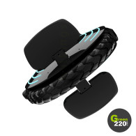  Inmotion V10F | Green220.com