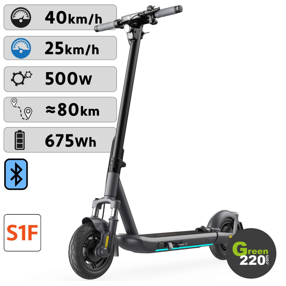 Elektrischer Roller Inmotion S1F l Green220.de