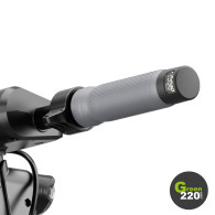 Elektrischer Roller Inmotion S1F l Green220.de