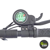  Wiizzee WS7 Max | Green220.com