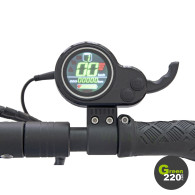  Wiizzee WS5 Max | Green220.com