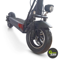 GREEN220.de » Elektrischer Scooter Wiizzee WS9 Max