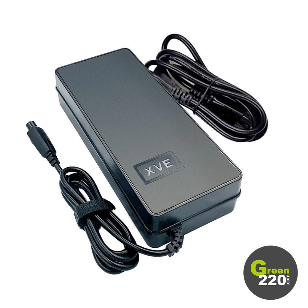  Caricabatteria da rete - Inmotion V11 | Green220.com