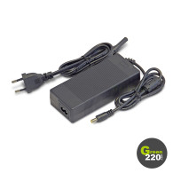  Caricabatterie Wiizzee WS3 - WS3 Max | Green220.com